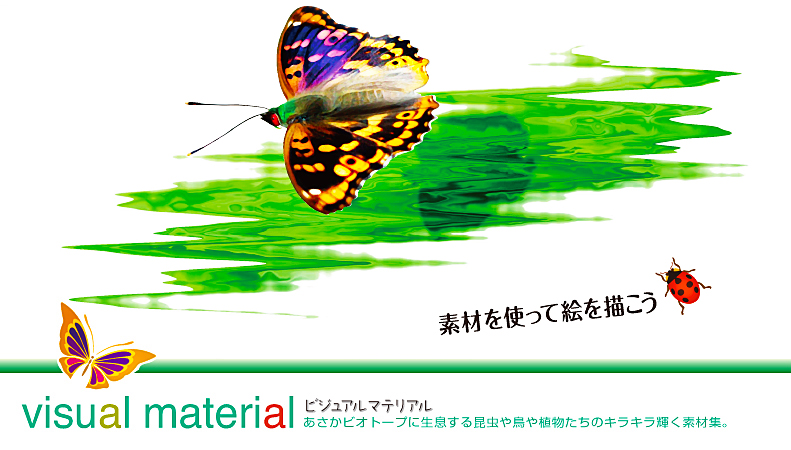 昆虫、野鳥、野草花などの写真のバック背景を切り抜きしたイラストのような写真です。合成写真を作ったり、コラージュな絵作りを楽しんだりとても楽しい素材です。今までに見たこともないイラスト感覚の素材でアートをしよう。